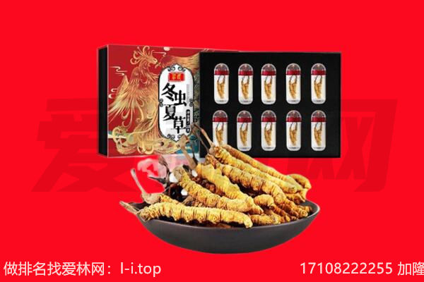 钟祥市回收虫草.jpg